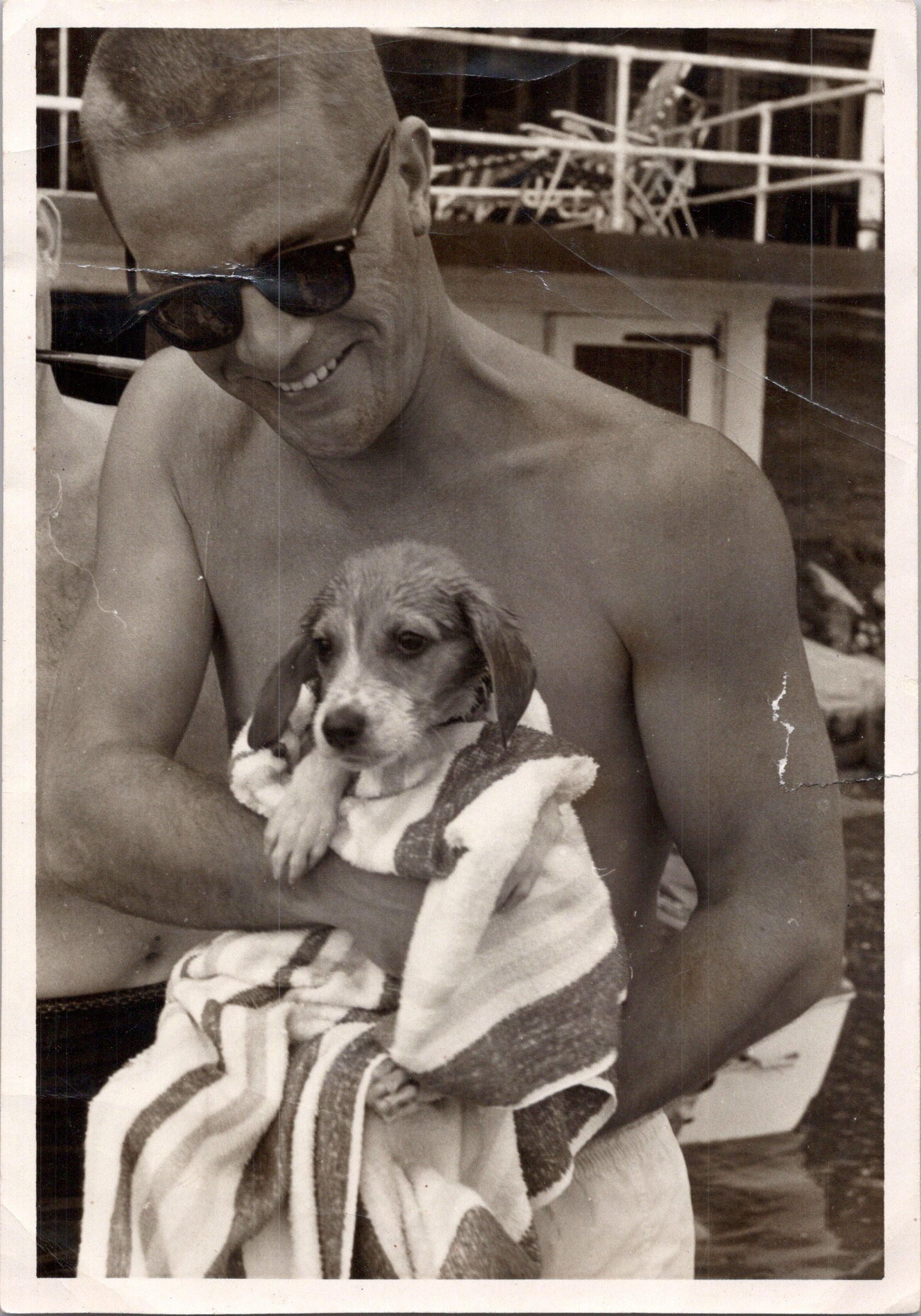 Denny Beagle